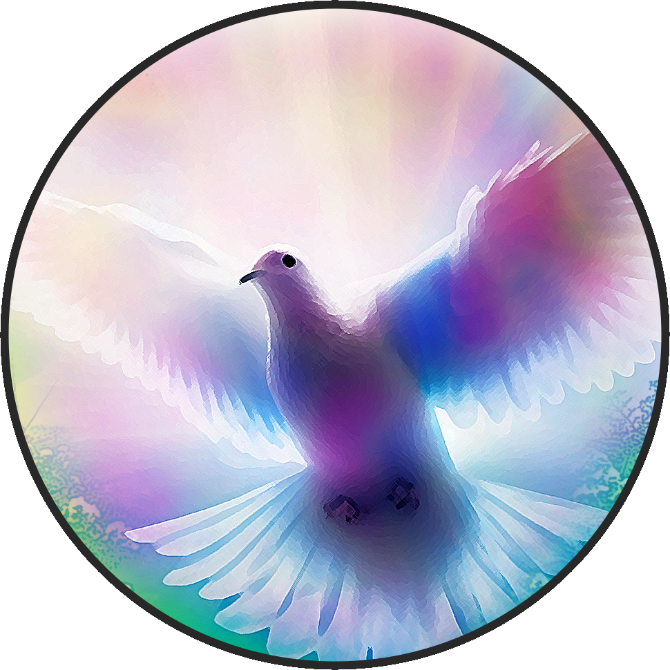 SRL-image-1 (3).png