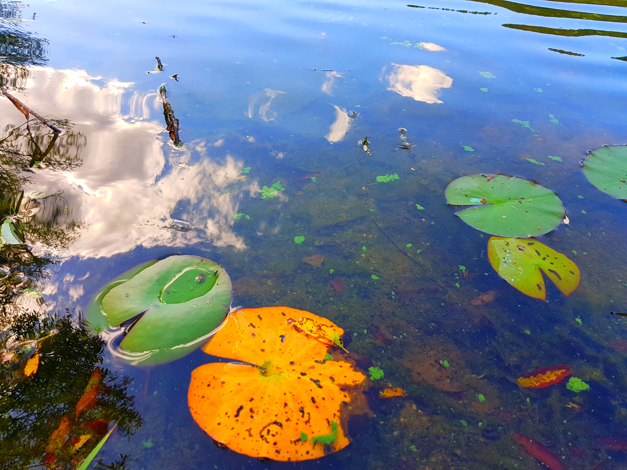 Lake-Mondfeld-4.jpg