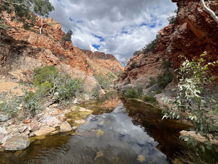 Larapinta Trail - Section 5