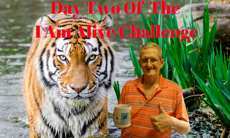 Copy of Day 2 I am alive challenge Blog header.png