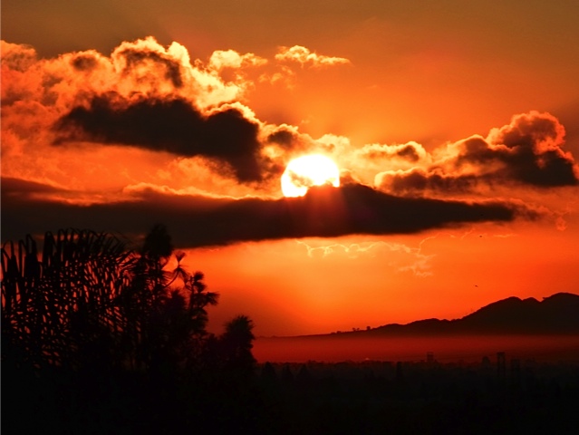 Sunrise Joy's garden Chanukah    _ Joy Krauthammer  2012 .jpg