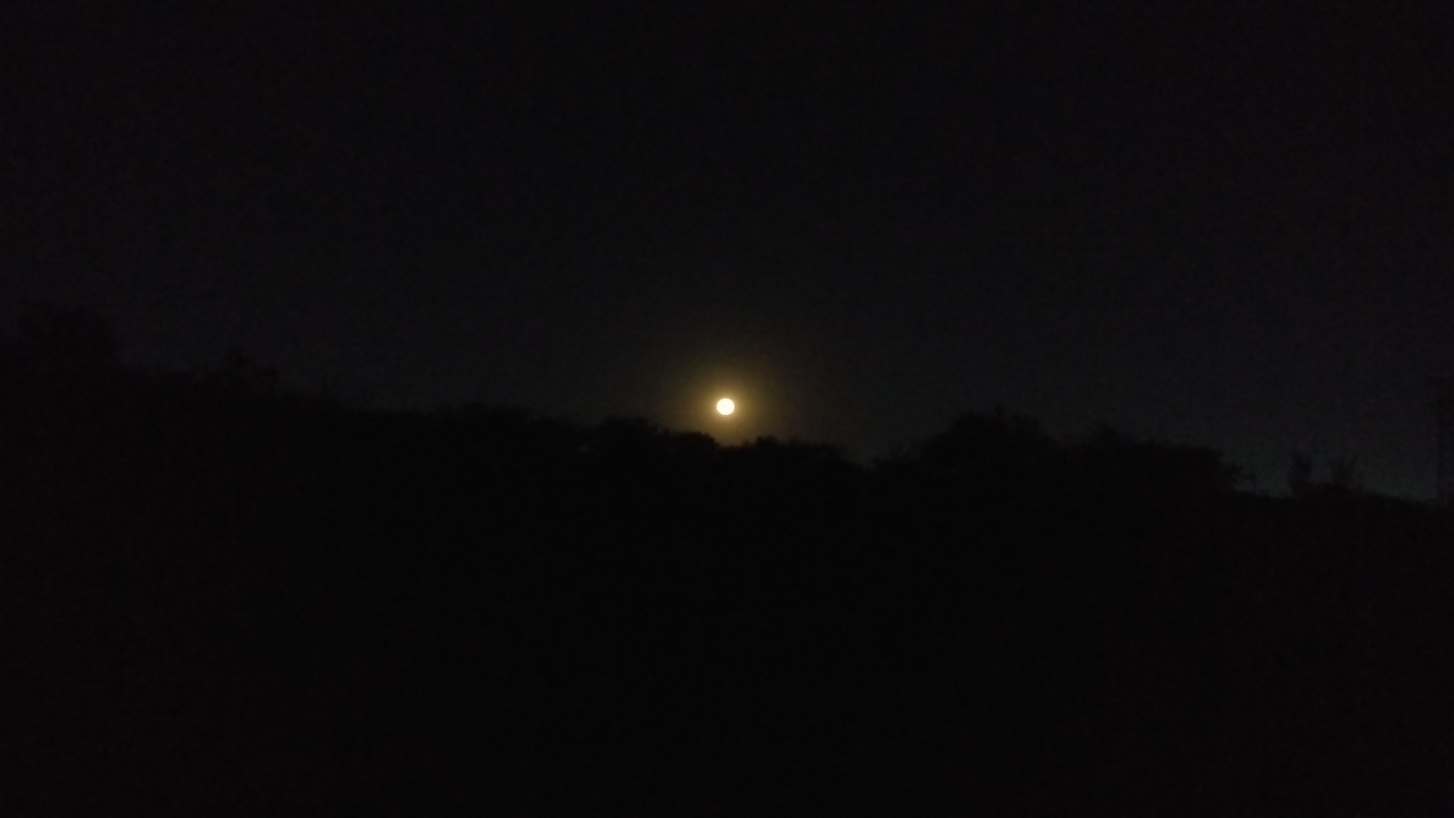 luna 5.jpg