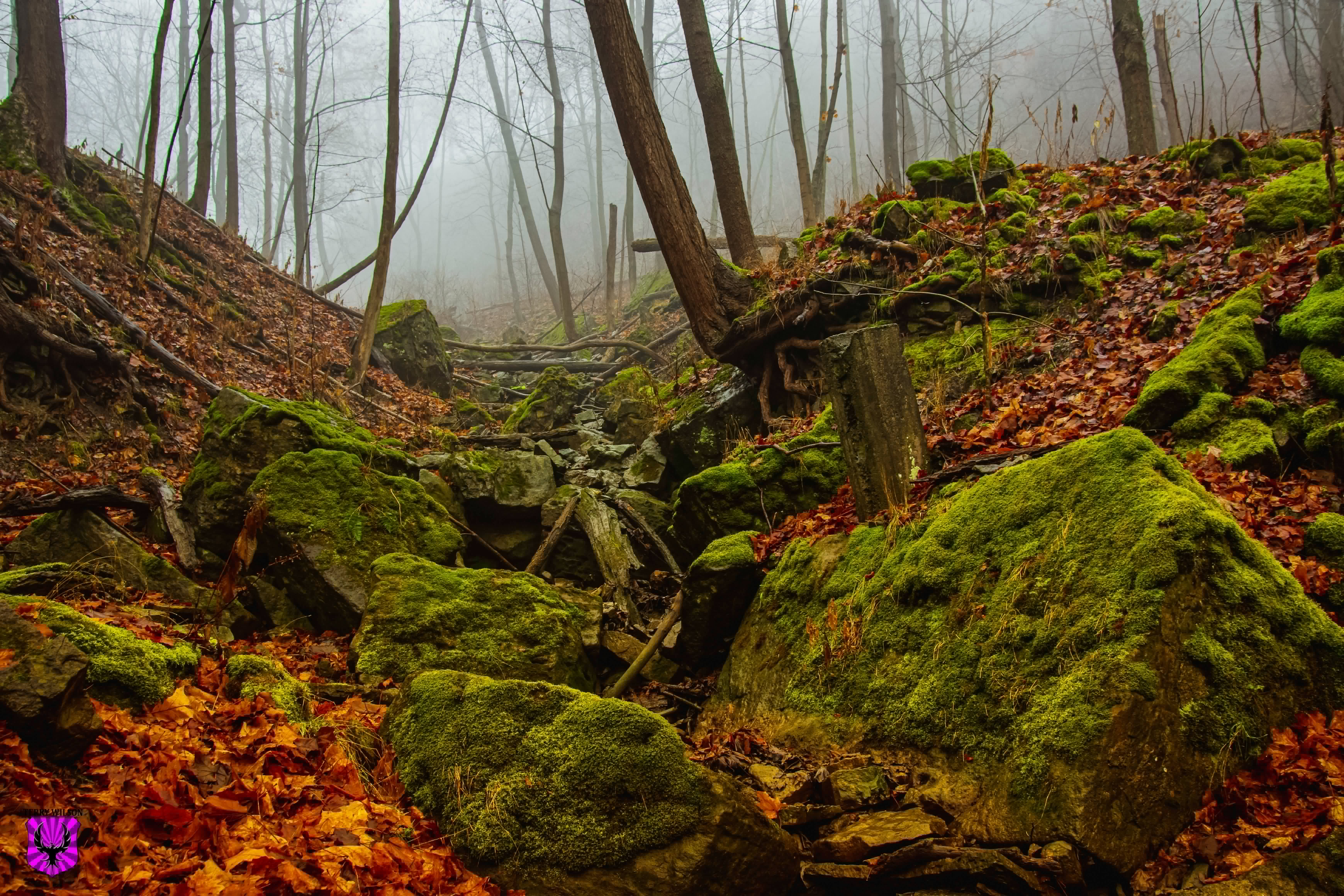 08793130-6d7f-4891-b43c-c977a7b05f87.jpg