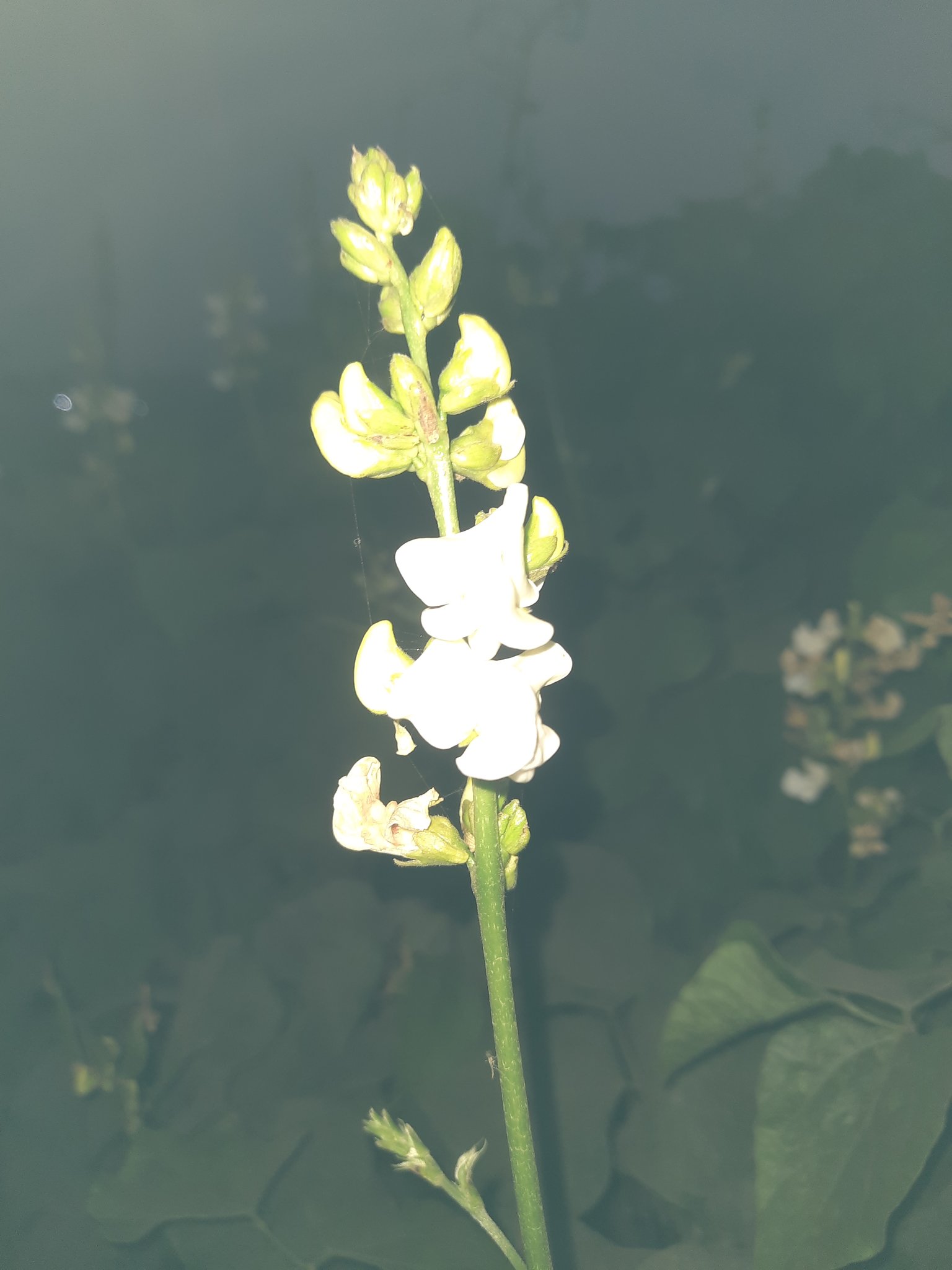 3jpR3paJ37V8JxyWvtbhvcm5k3roJwHBR4WTALx7XaoRovpY2uuVDQtZzMR2yo8KLjrpqLVmXuSazyDEXFVyBHUyaECN4HUz8uGy8pGybi58ML3SUqkVjAD6QvRAgHuesozzA.jpeg