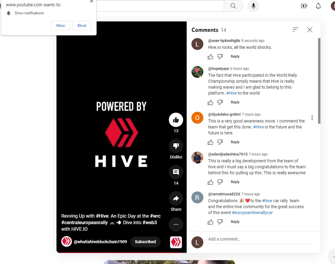 hive rocks.JPG