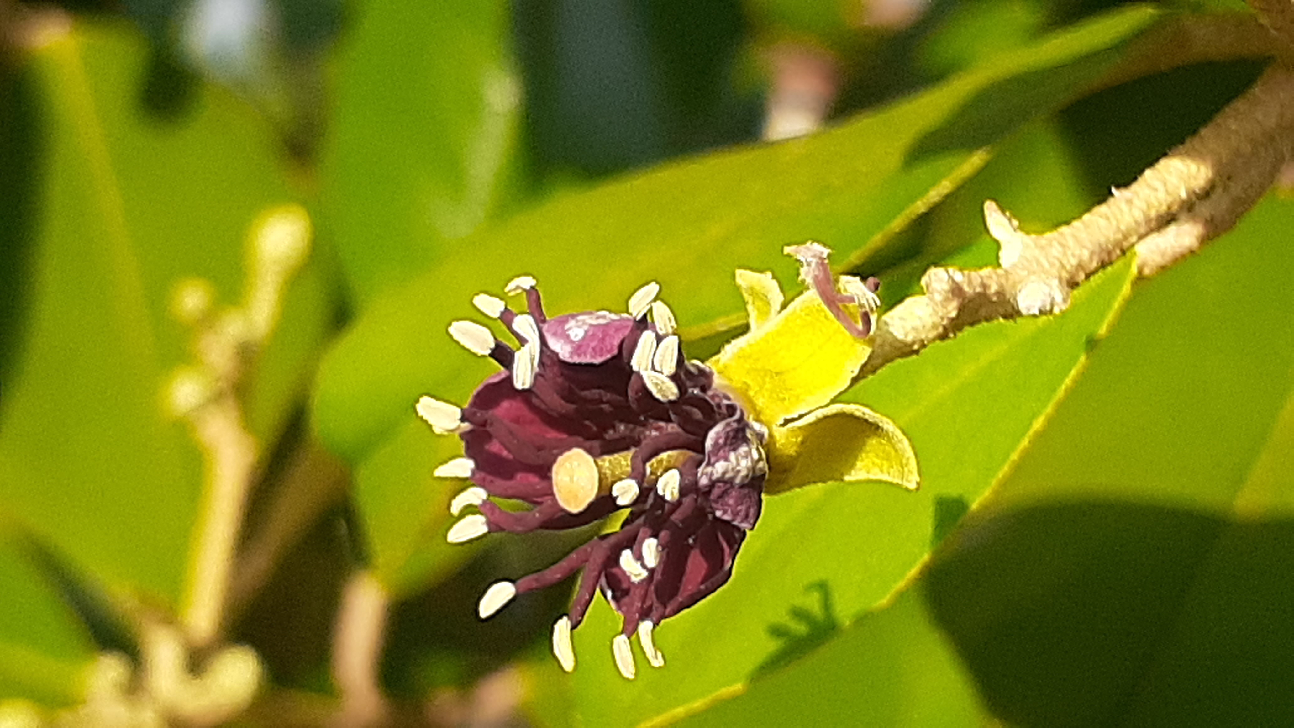 20250130_165150.jpg