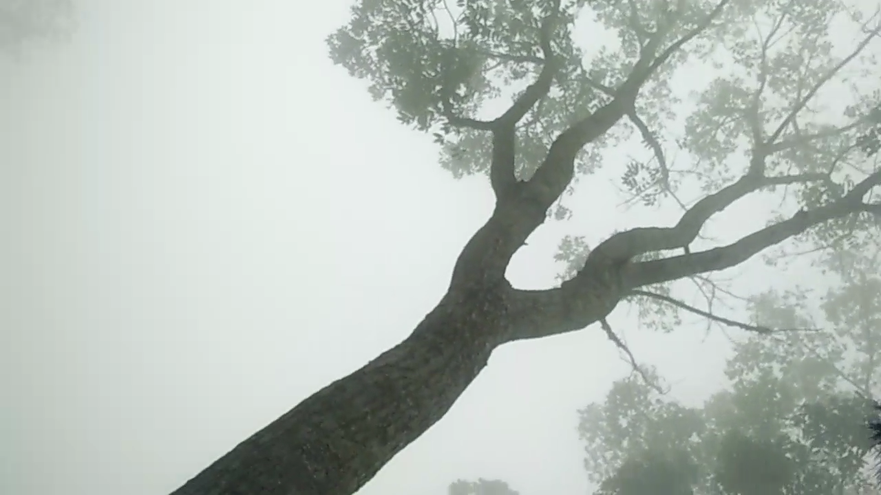 Screenshot_2020-07-05-09-17-02-71.png
