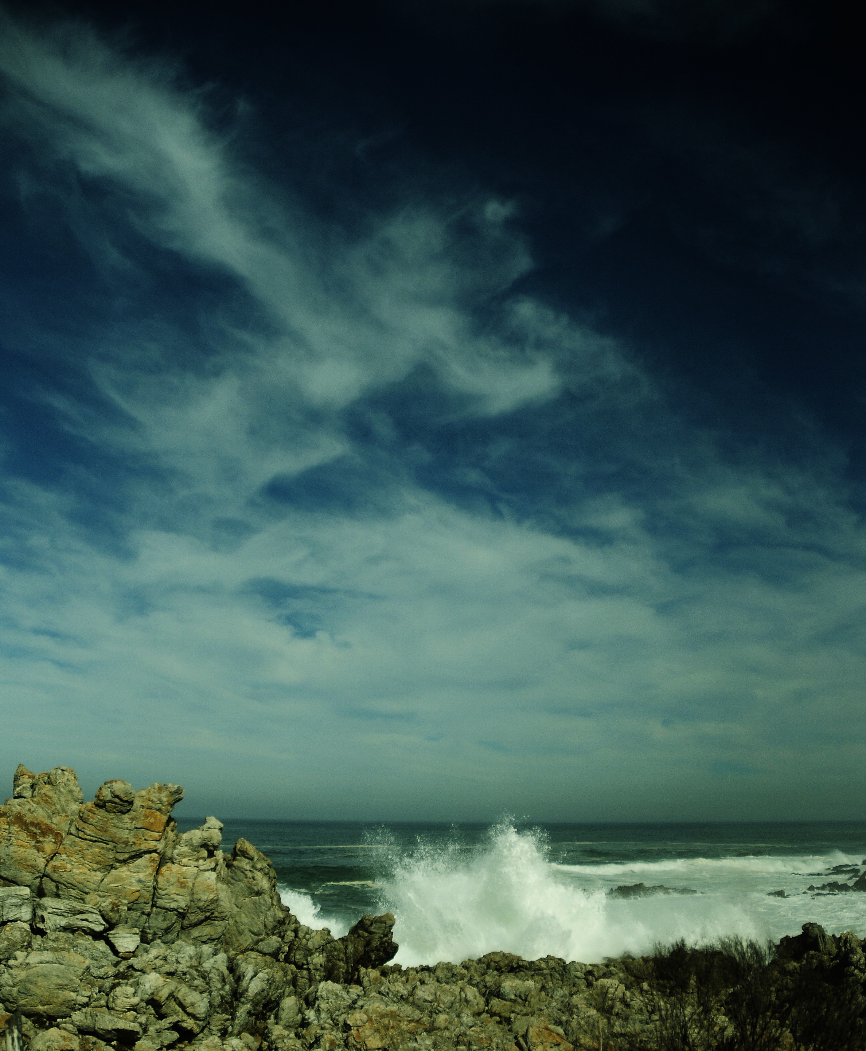 _DSC6889.JPG