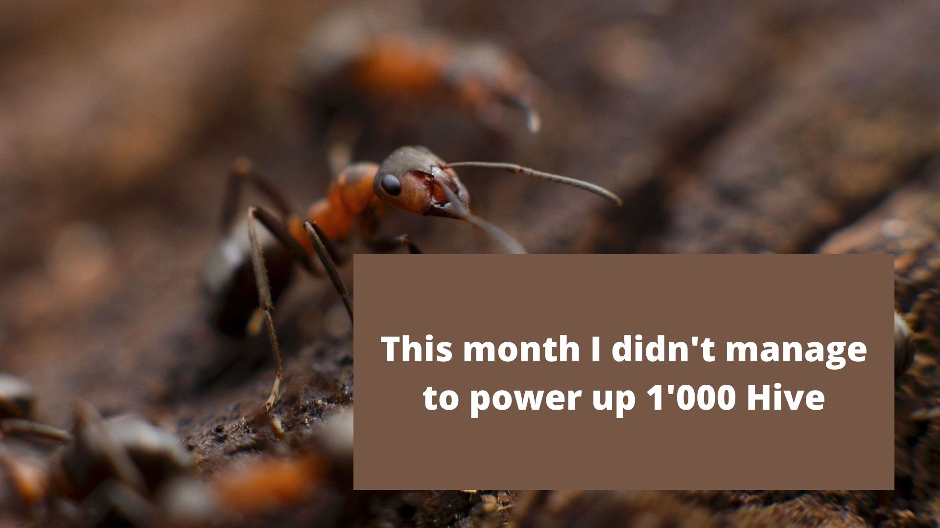 This month I didn't manage to power up 1'000 Hive.jpg