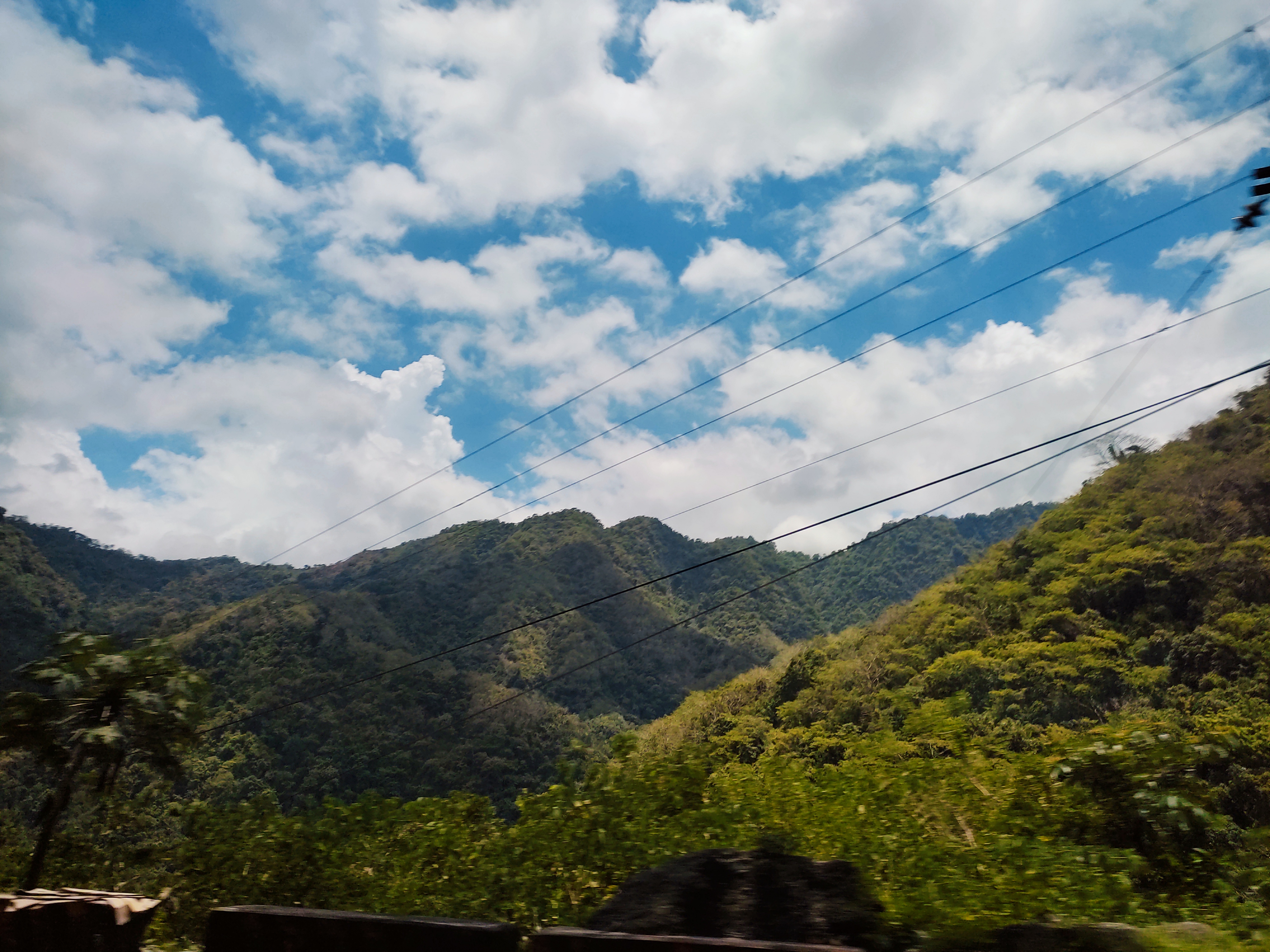 IMG_20250520_081428.jpg