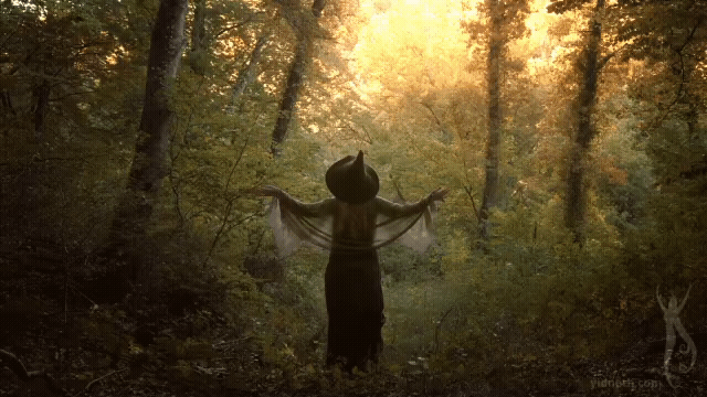 a gentle calling by Priscilla Hernandez yidneth (5).gif
