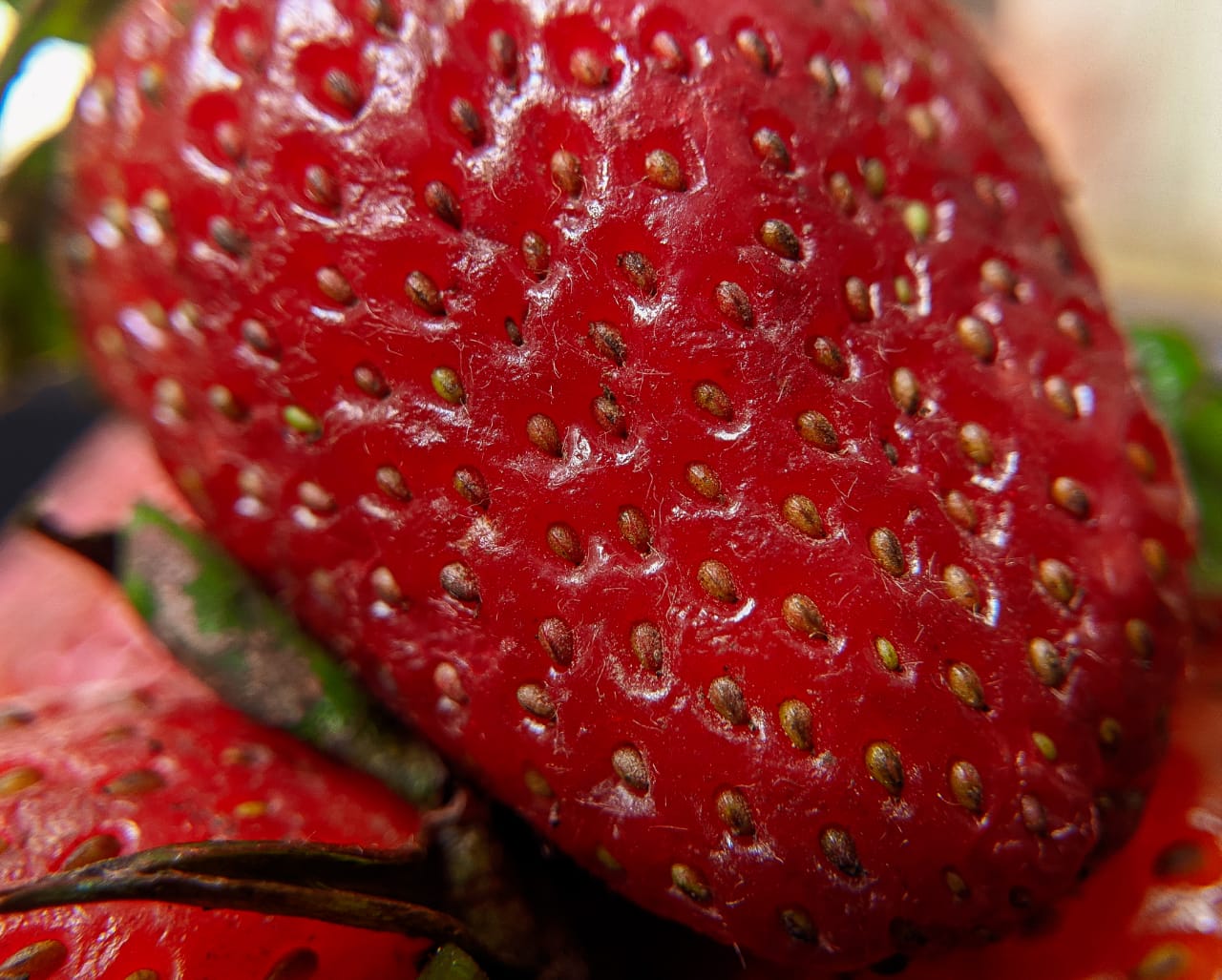 strawberry (2).jpeg