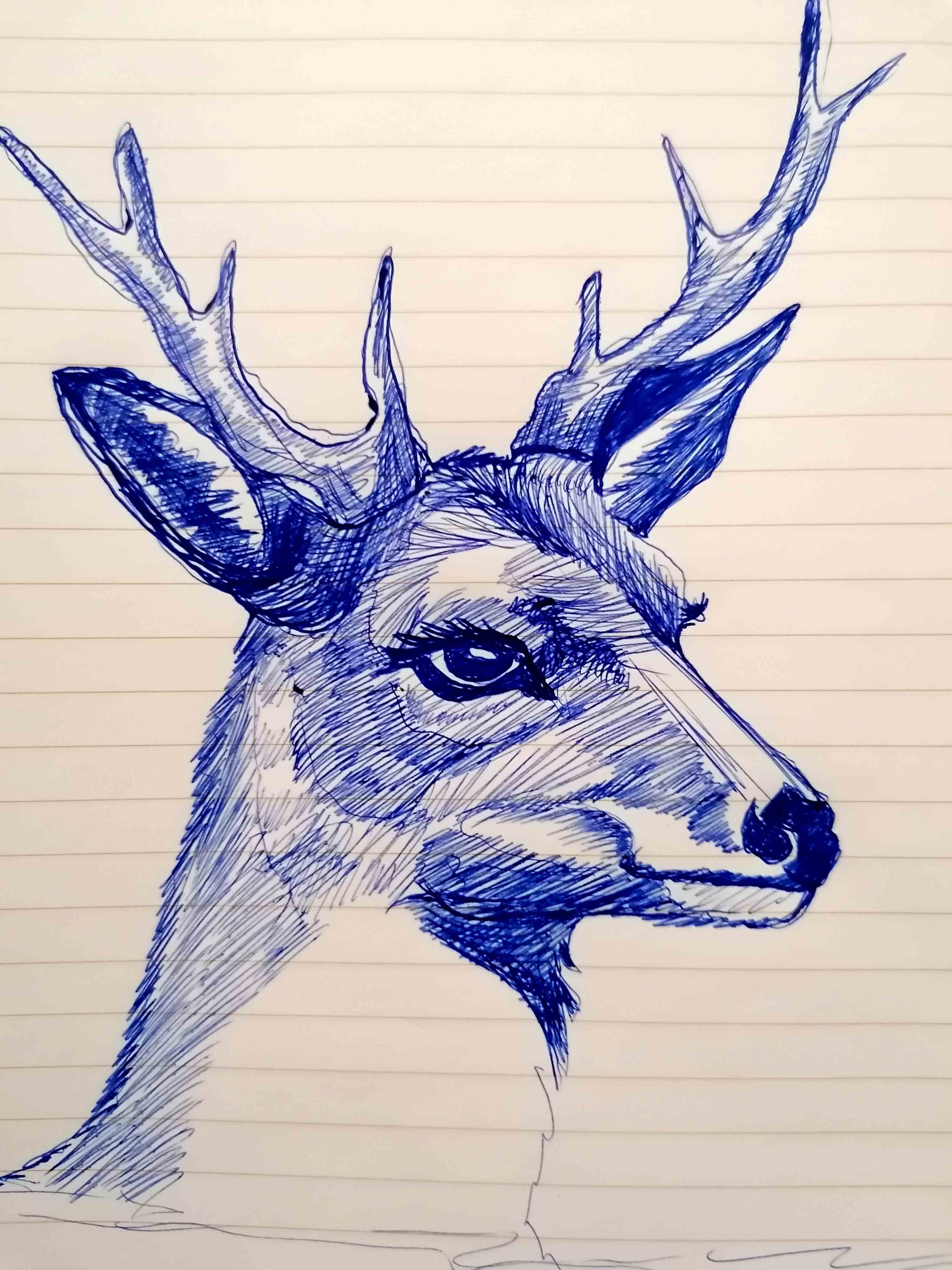 721950477188228920.jpg