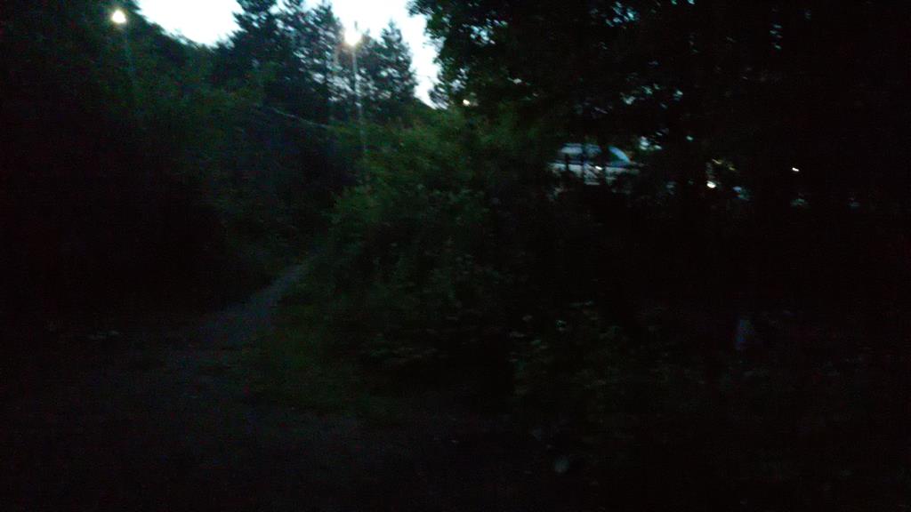 IMG_20250530_200401.jpg