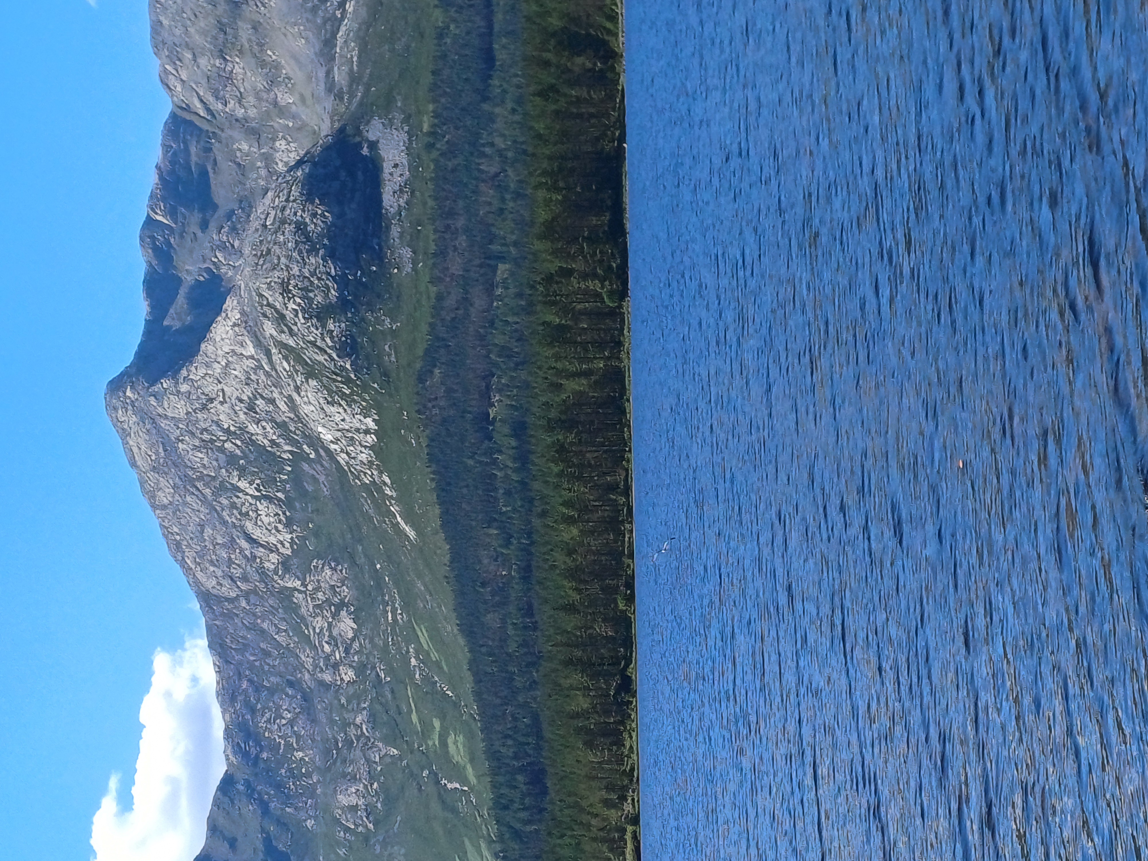 20250518_143713.jpg