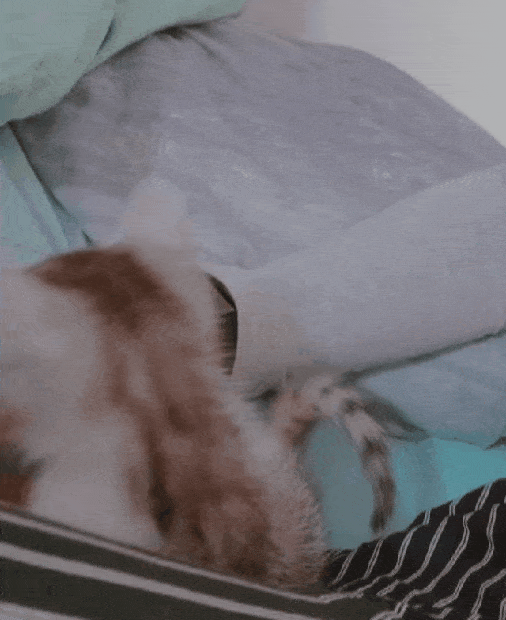 GIF-210522_112619.gif