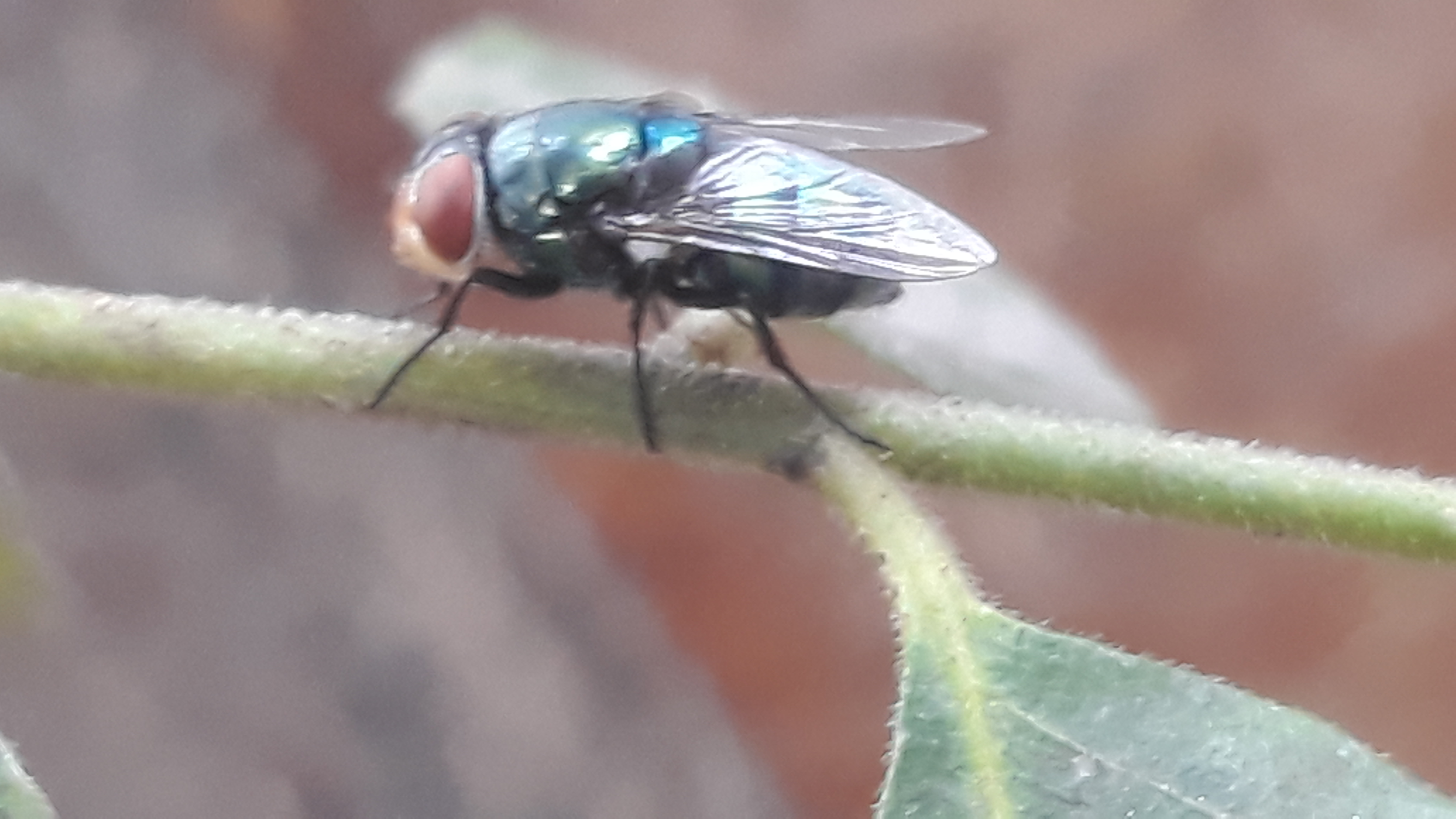 20250803_111101.jpg