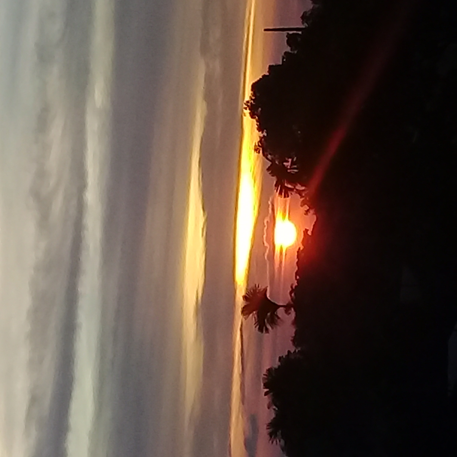 20220806_183124.jpg
