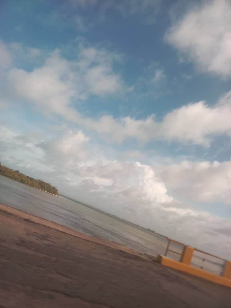 2a7da511-461b-466a-845a-9d3338ee3aca.jpg