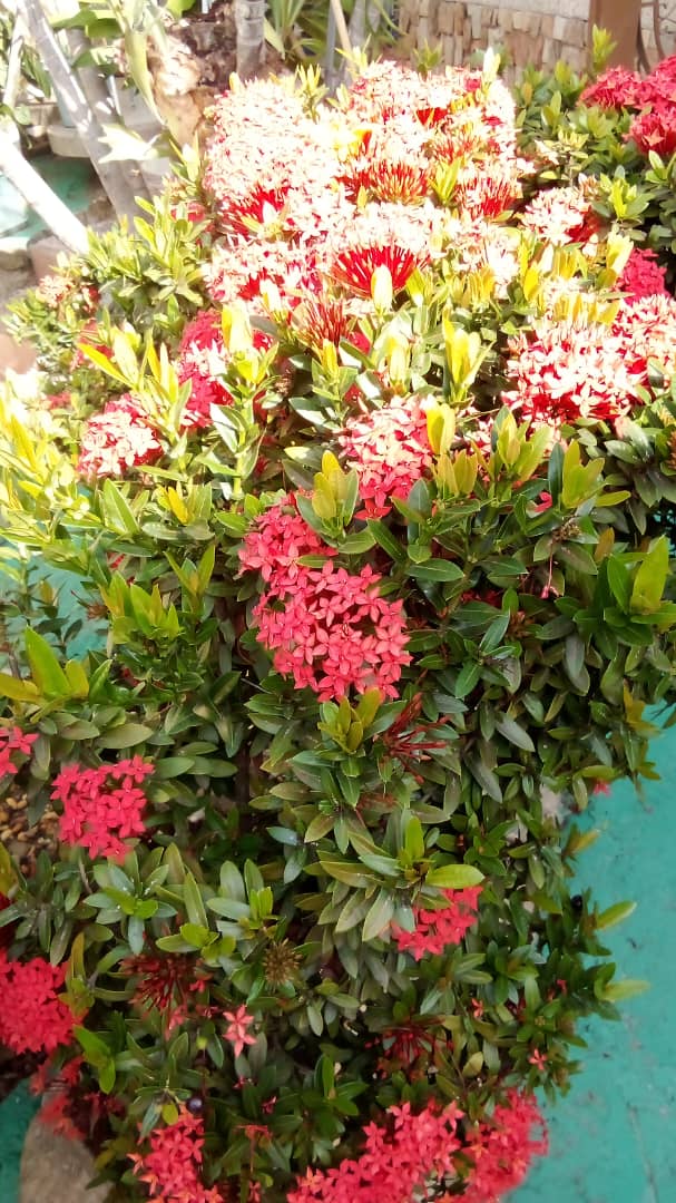 1747063900677.jpg/