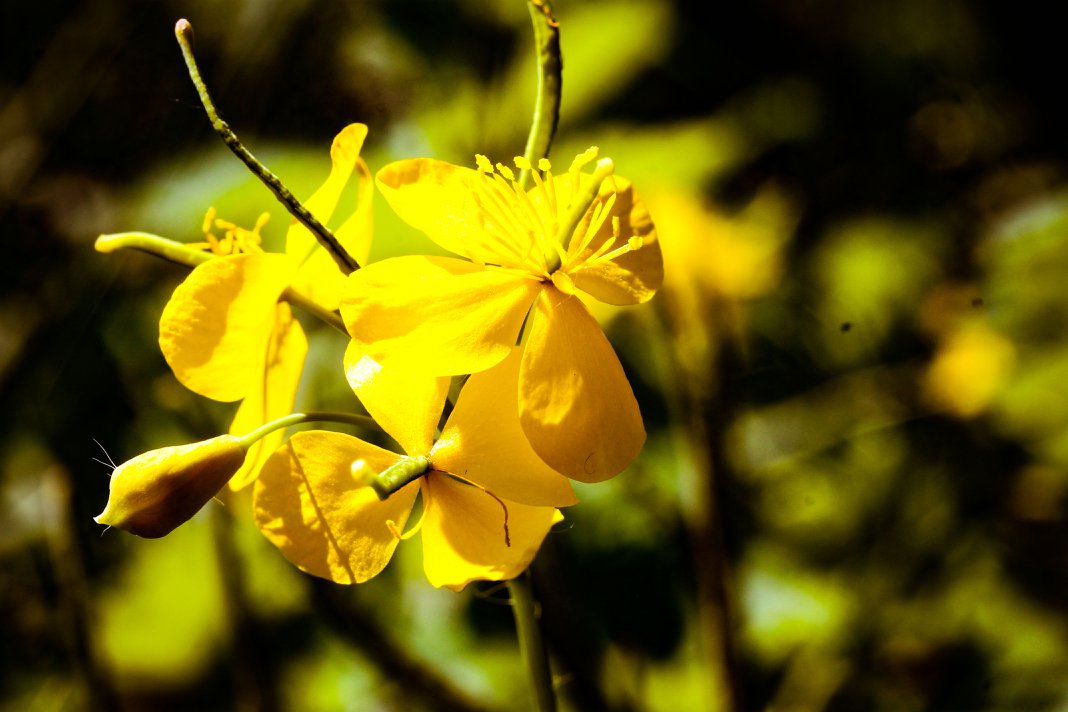 7B696298-A8F0-4681-9B1A-AC216D2C03D4.jpeg