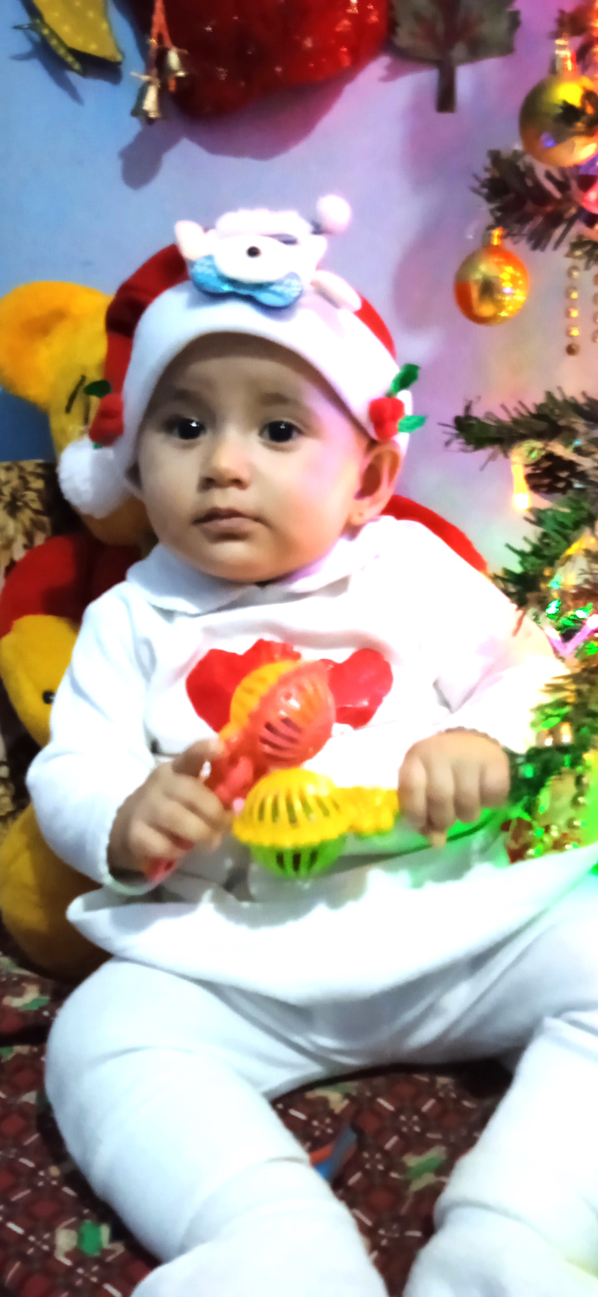  "IMG_20231208_164426.jpg"