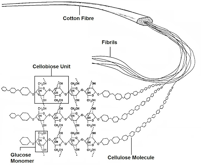 Cellulose.jpg