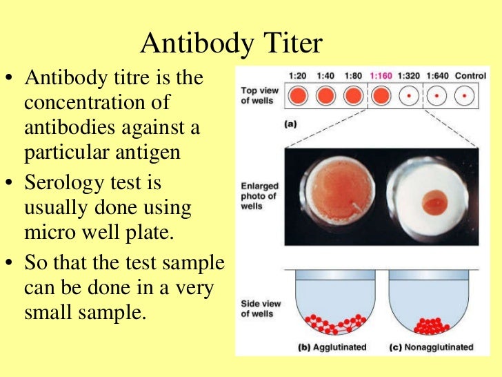 antigen-ab-reactions-3-728-2749694768.jpg