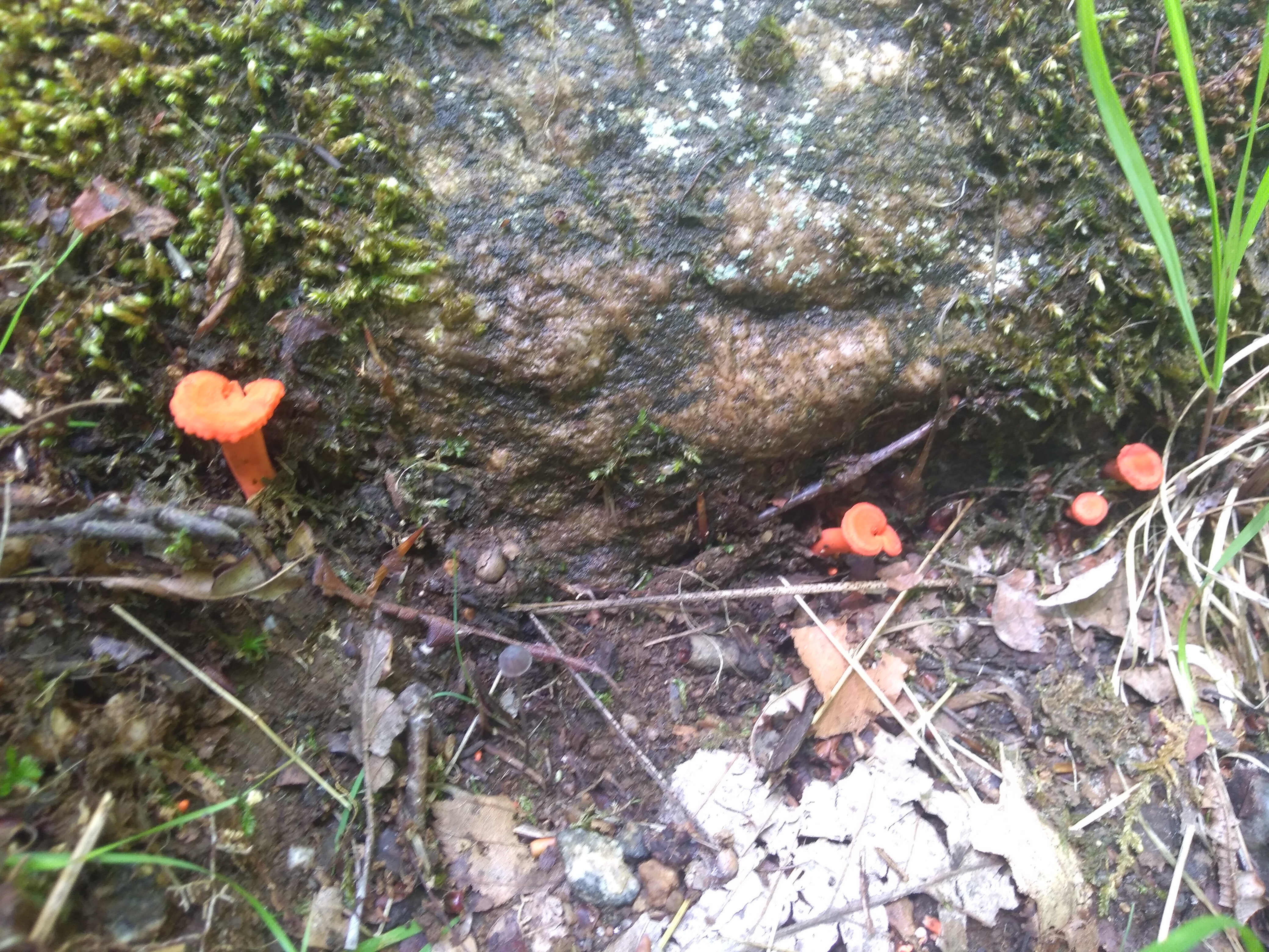 P_20200709_114456.jpg