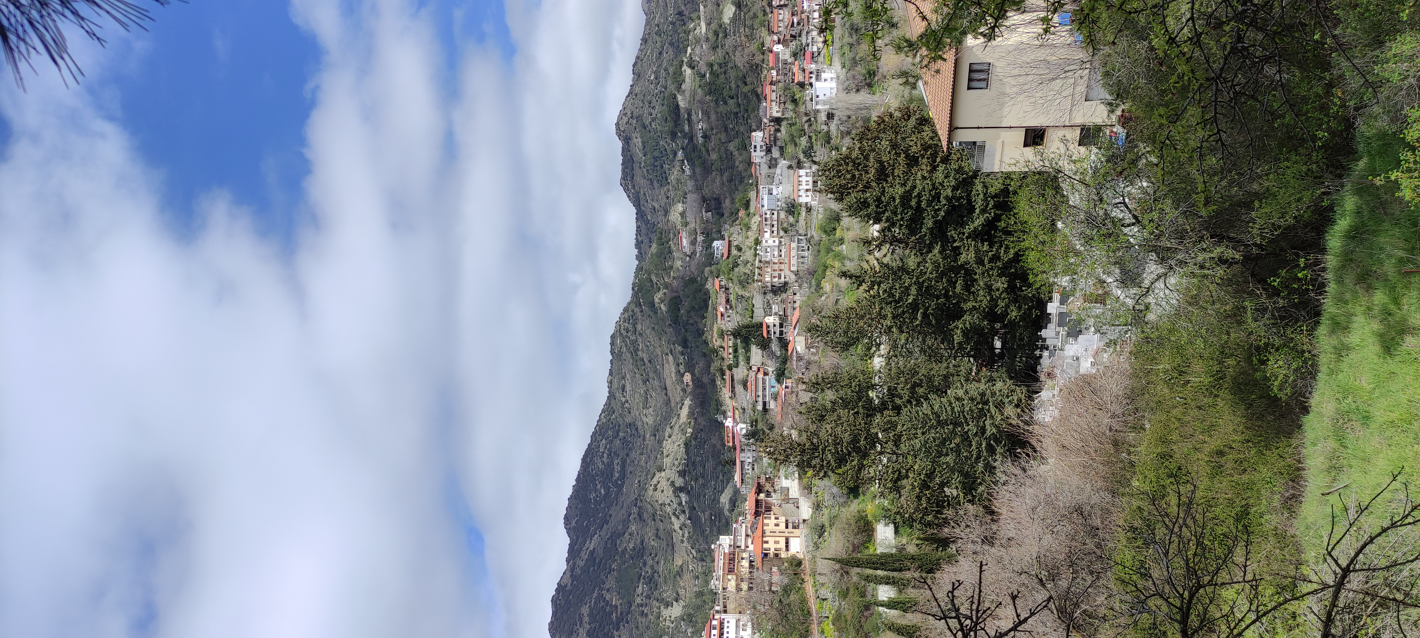 IMG_20250320_132304.jpg