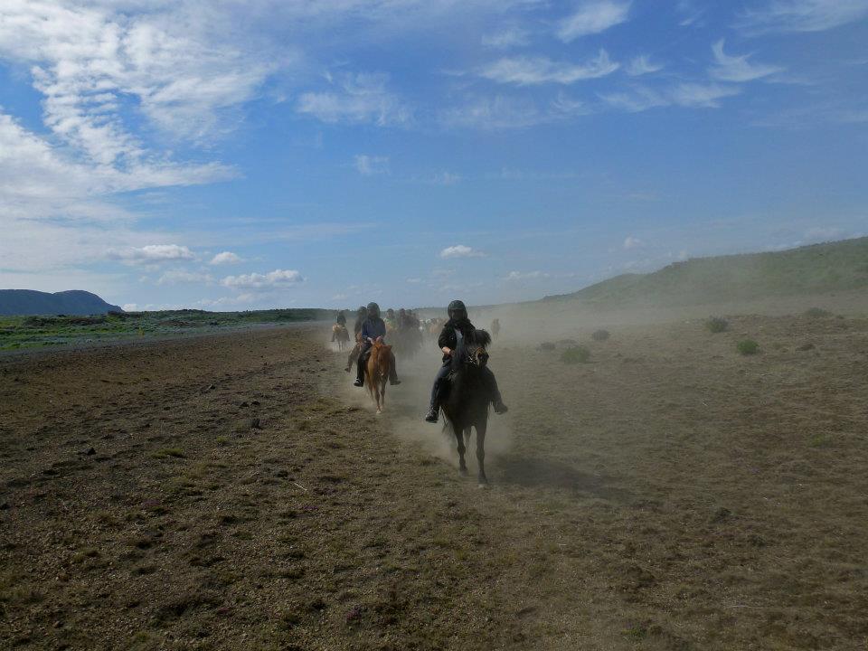 Elena_Horn_Iceland.jpg