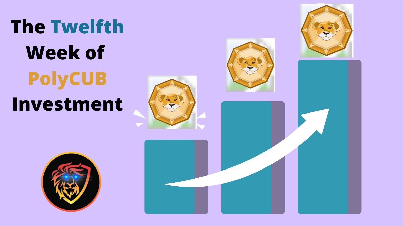 twelve months of polycub investment return.jpg