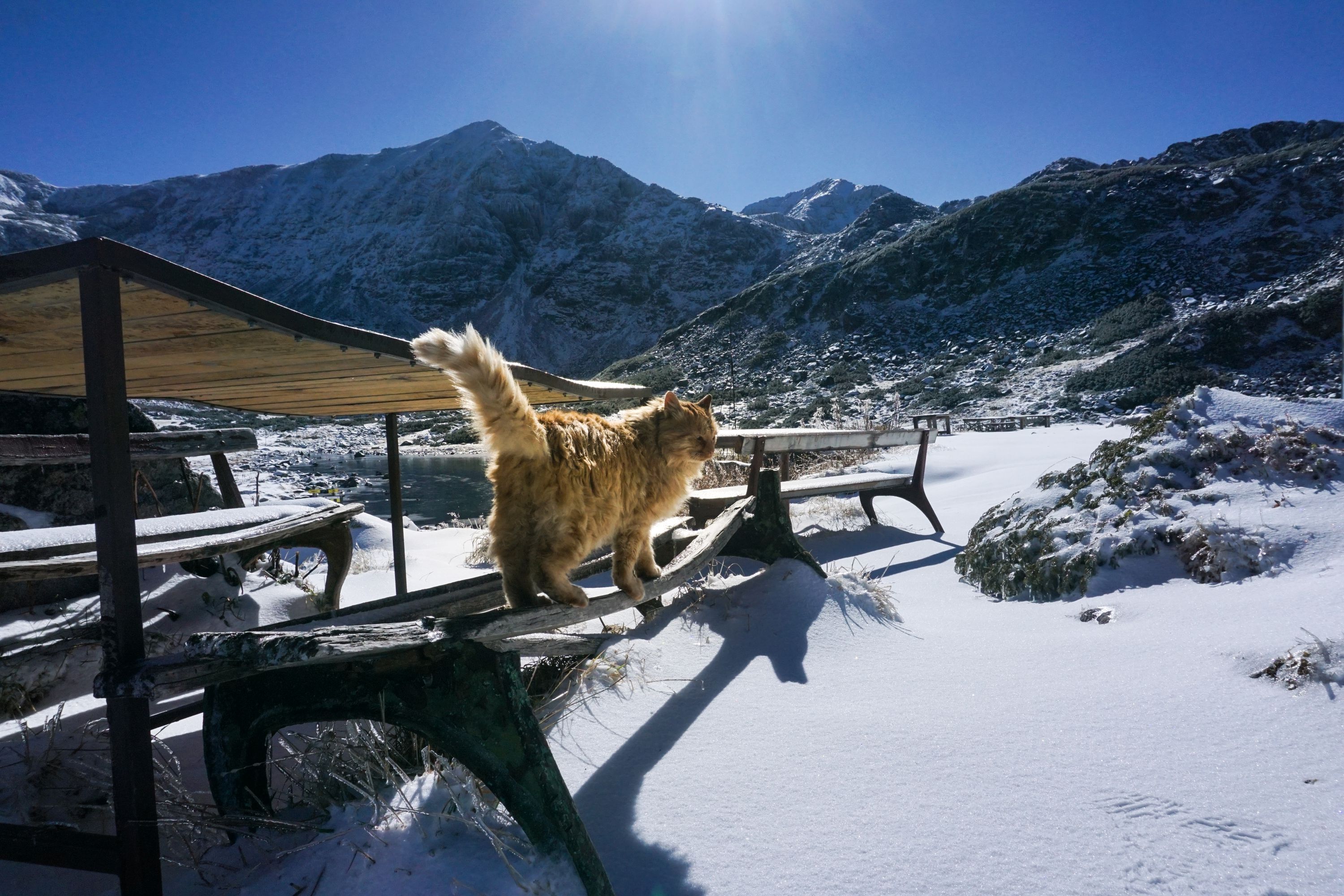 Katze Musala Hut-09054.jpg