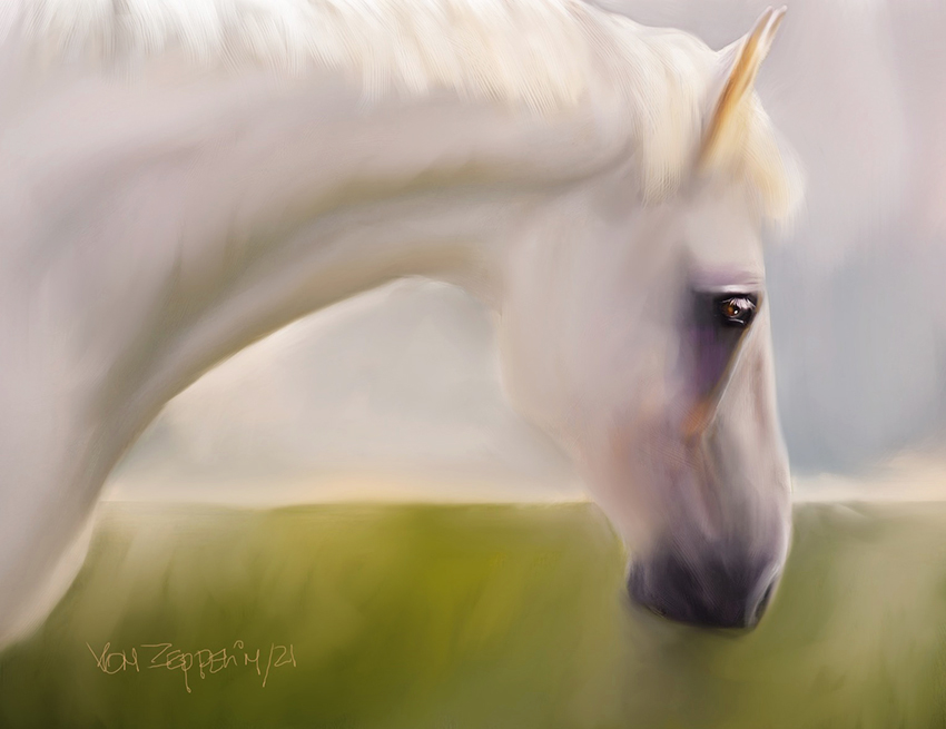 The white horse eye final.jpg