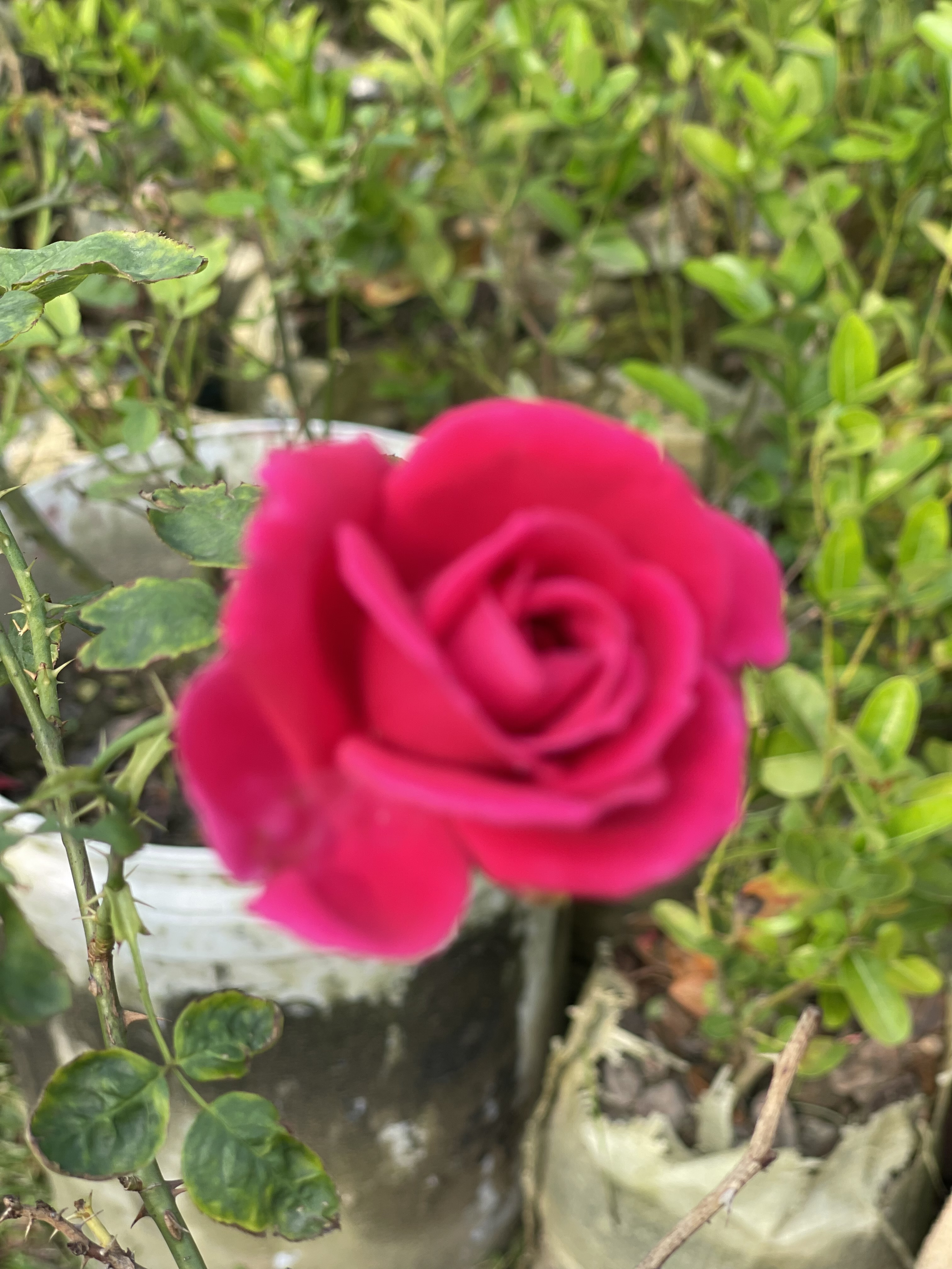 A8A046C4-8603-40AB-A95F-79E8E49108F3.jpeg