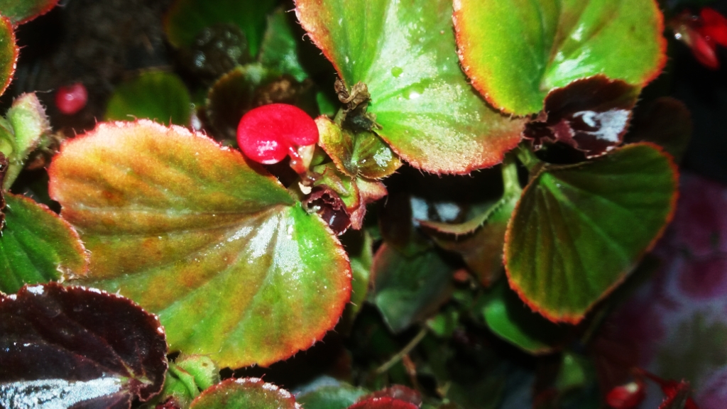 CYMERA_20201113_123514.jpg