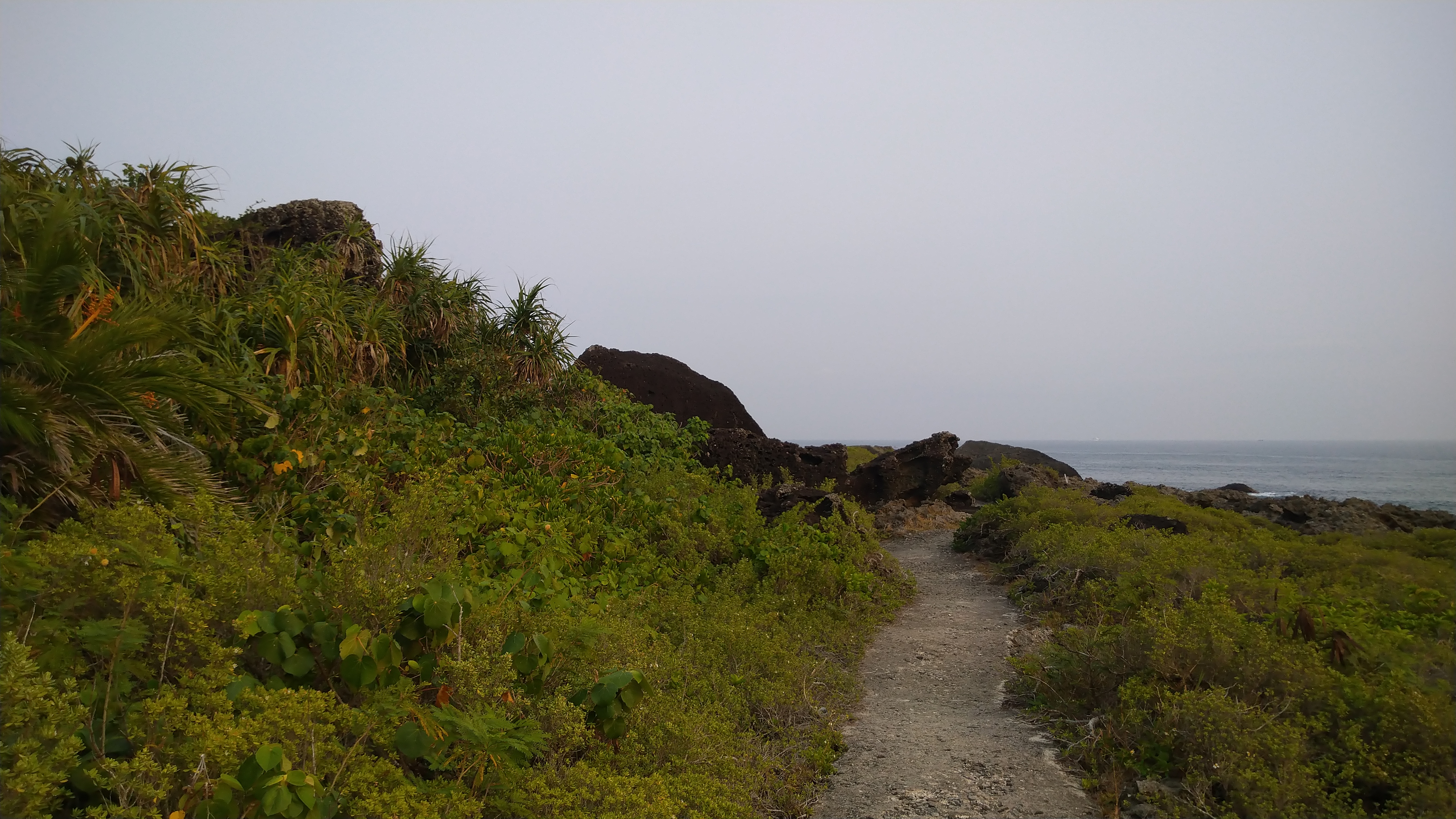 DSC_7974.JPG