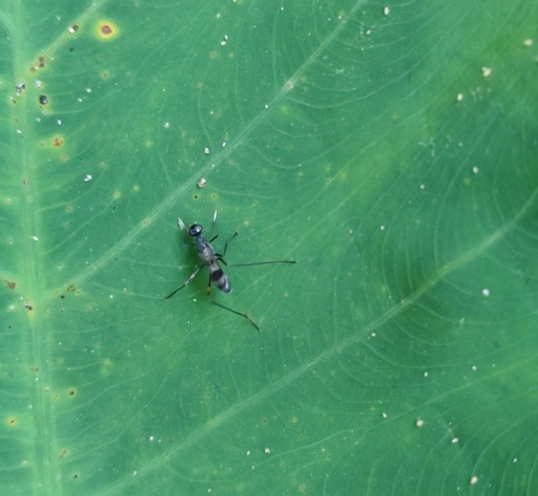 IMG_20250805_100736.jpg