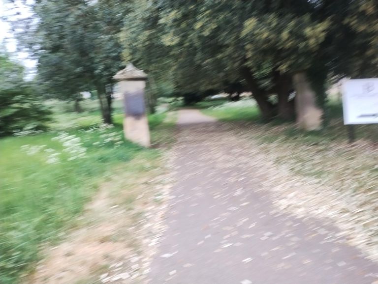 Morning Run: Fuzzy