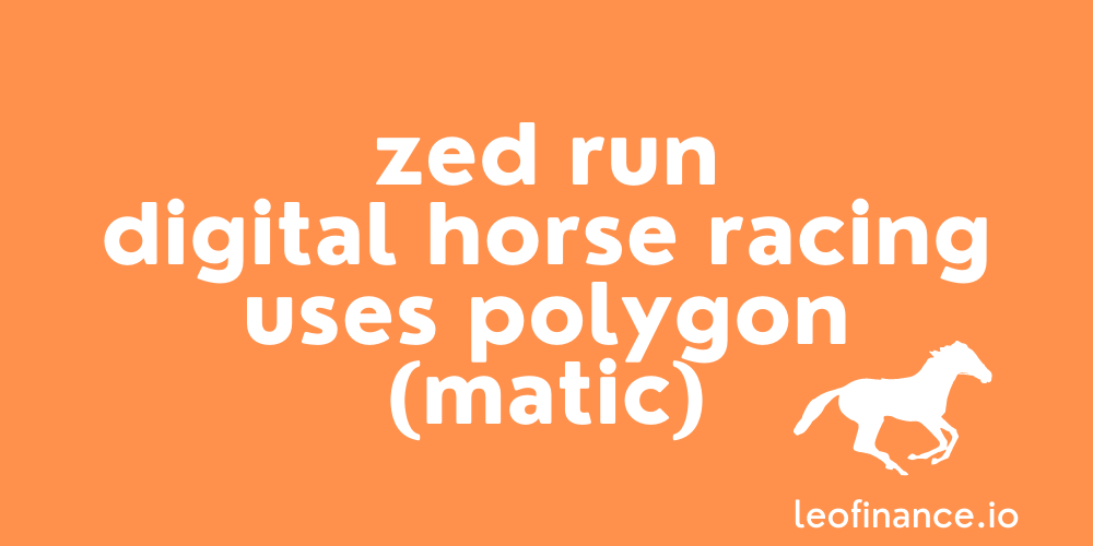 Zed Run Digital Horse Racing uses Polygon (MATIC)