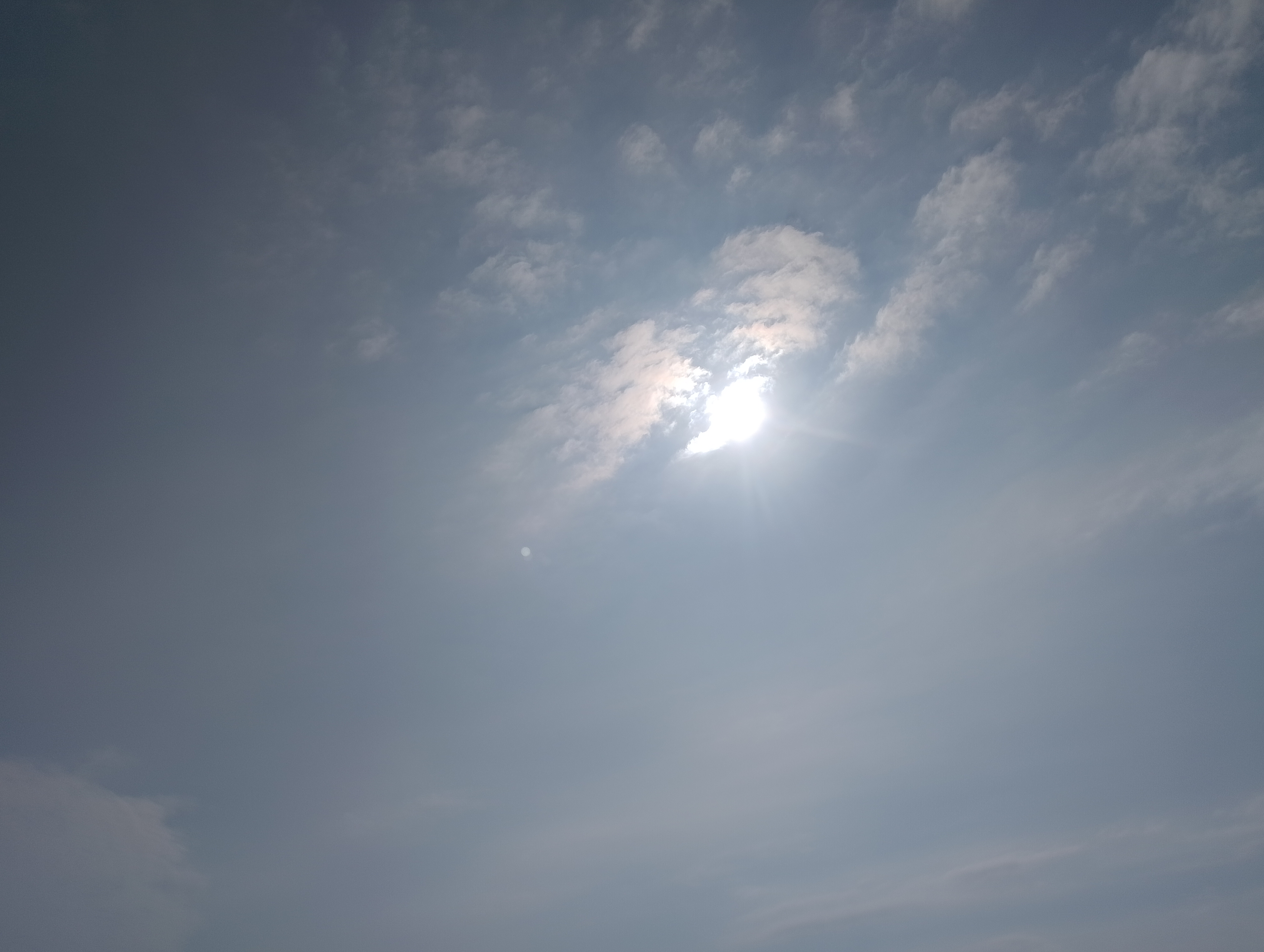 IMG_20250629_160251.jpg