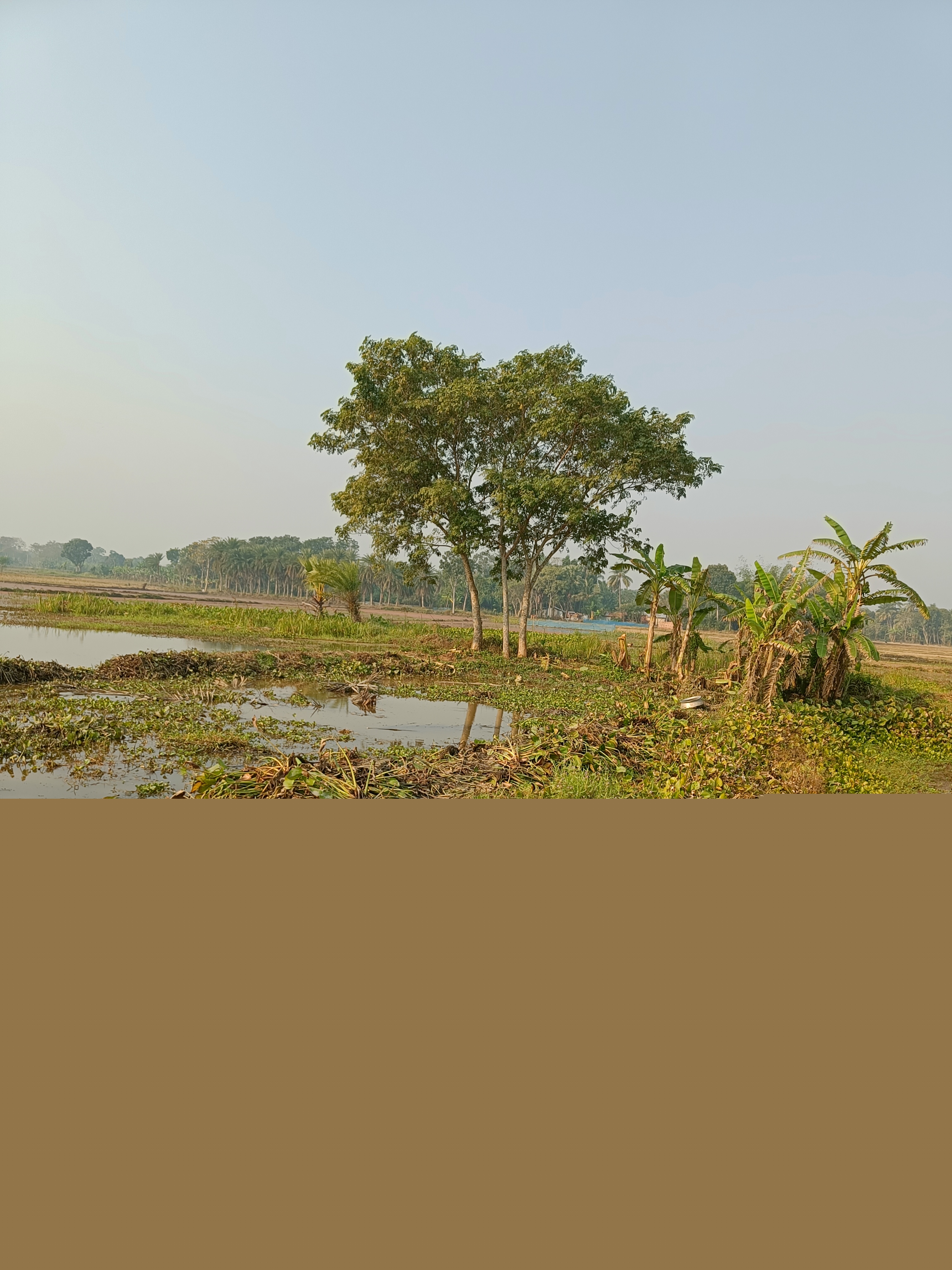 IMG20241226093344.jpg