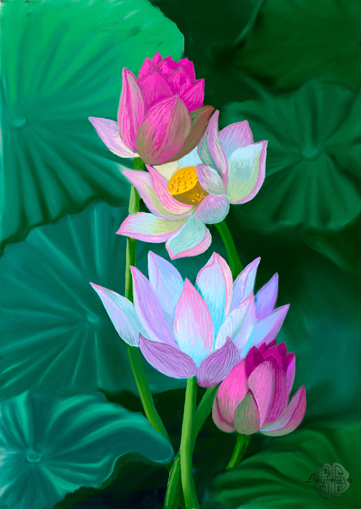 Lotuses_web.jpg