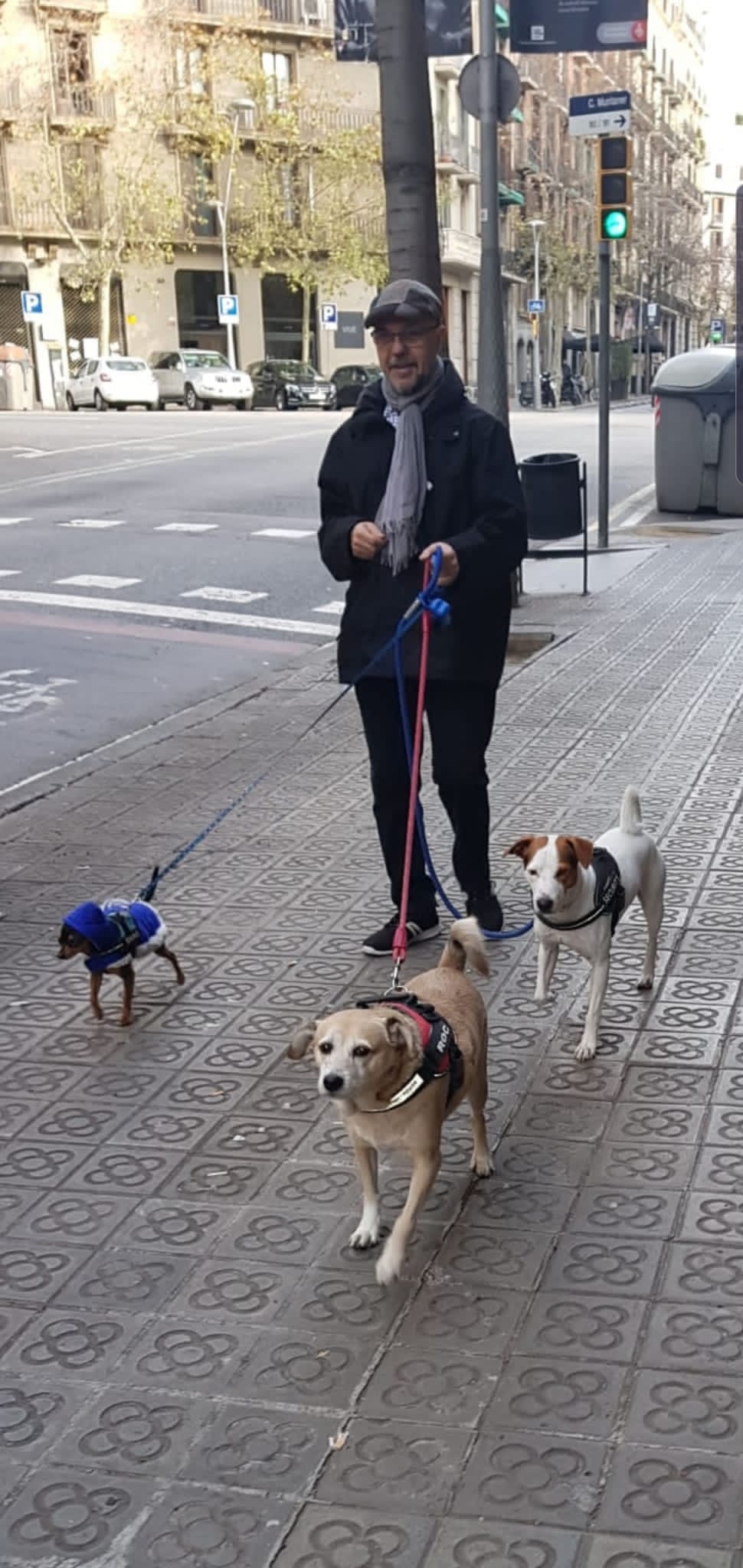 IMG-20191226-WA0007.jpg