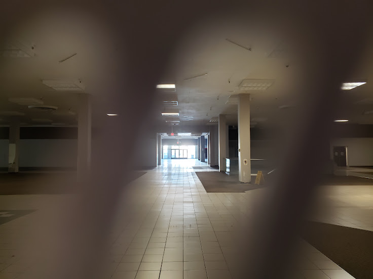 20250316_113635.jpg