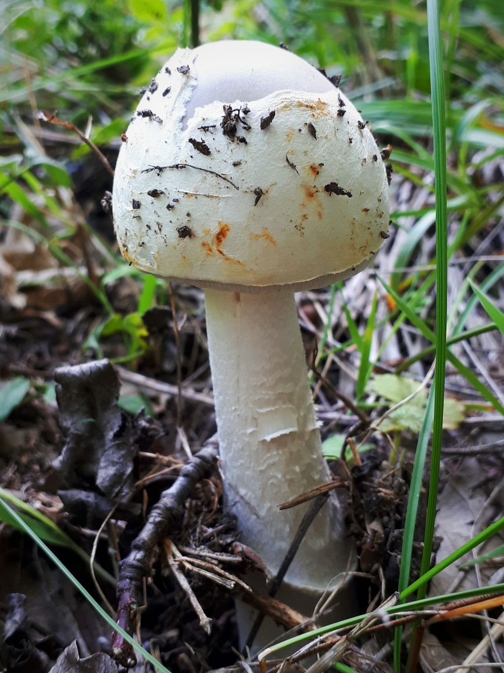 20220925_140909.jpg