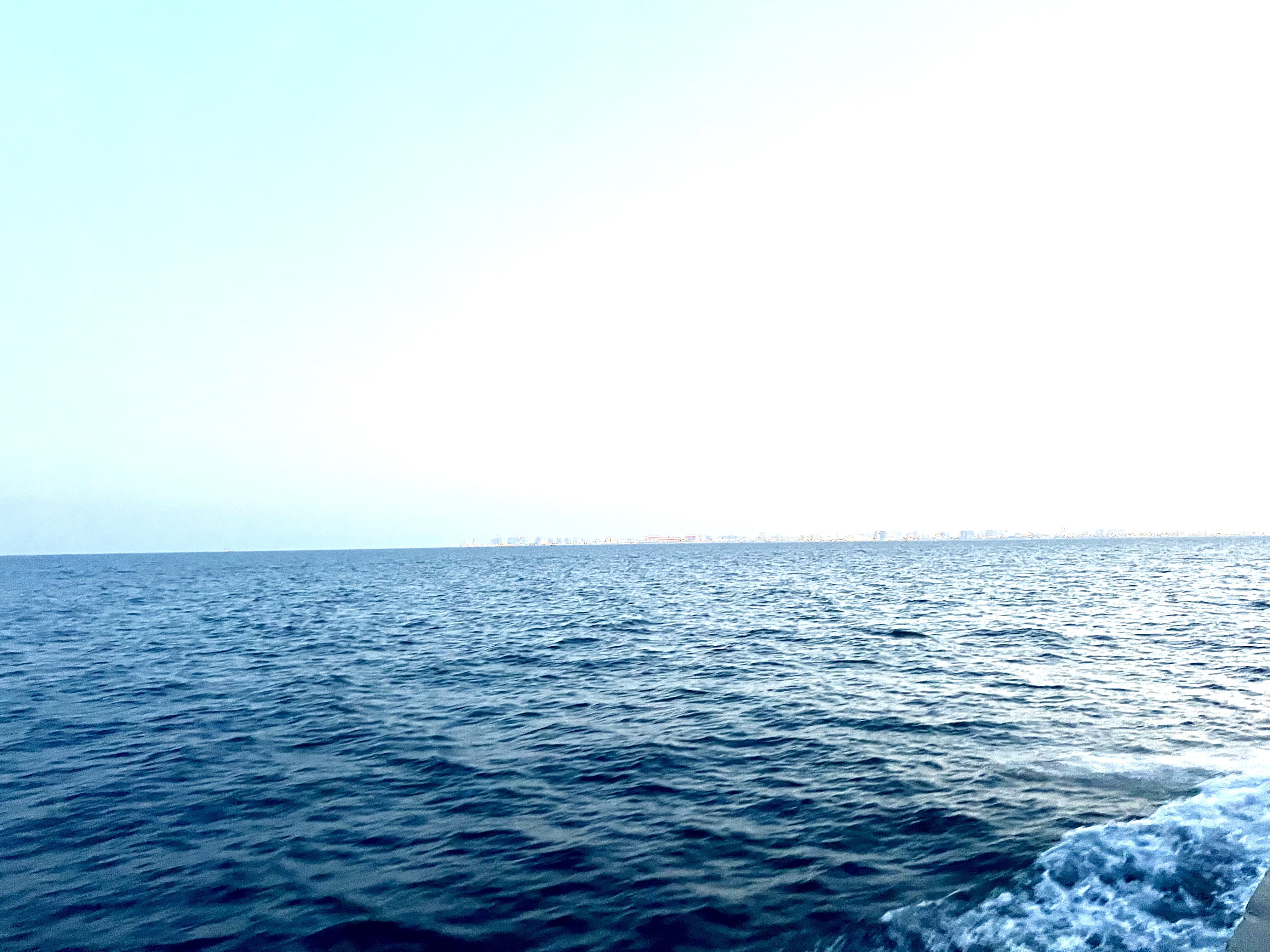  " " \"IMG_0091.jpeg\"""