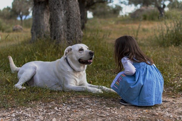 kid-5718703_640.jpg