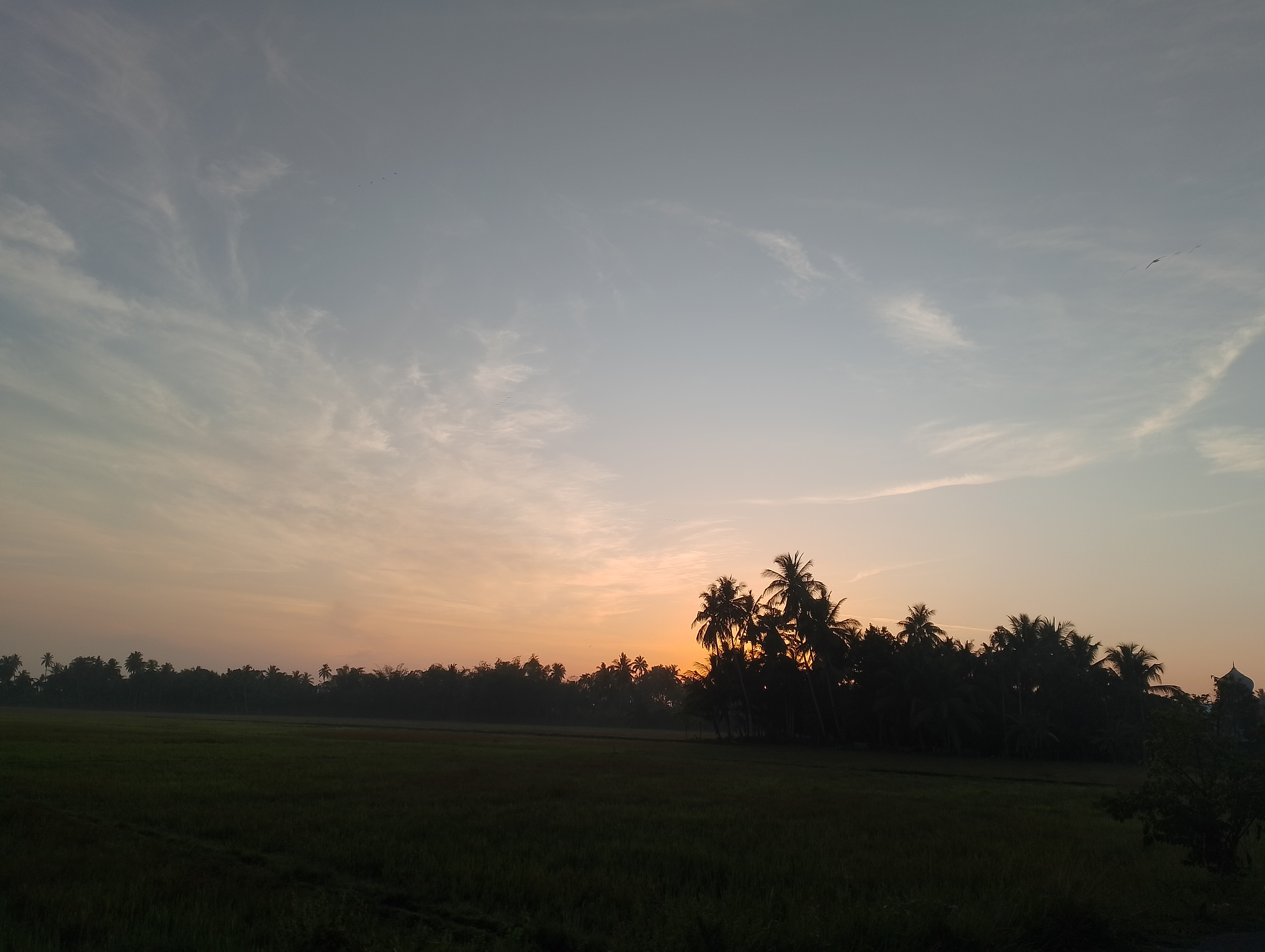 IMG_20250706_063352.jpg