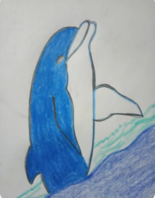 vv.png